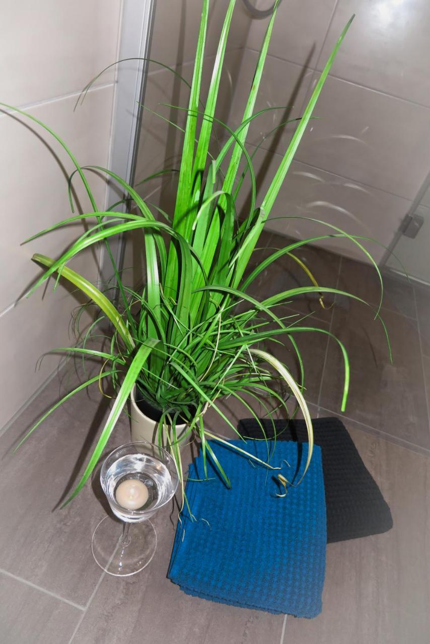 Apartment Fidelis Bodenmais